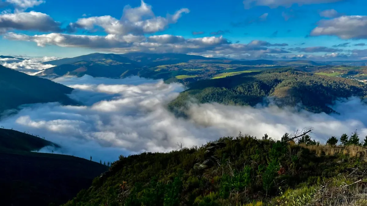 Camino Primitivo | Invierno 2022