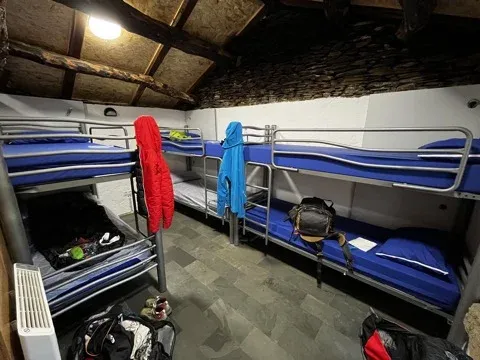 Camino entre la niebla